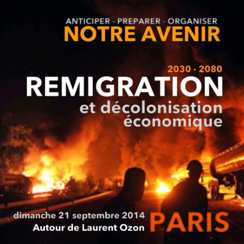 Remigration_Laurent-Ozon.jpg