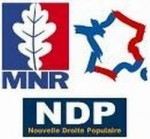 NDP_MNR_PDF.jpg